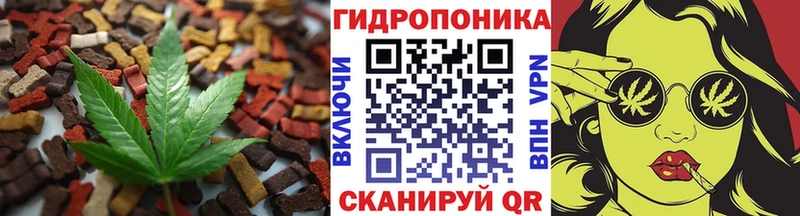 Купить  Тихорецк  Canna-Cookies конопля 