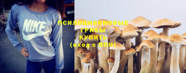 apvp Зеленокумск
