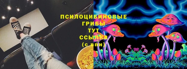 apvp Зеленокумск