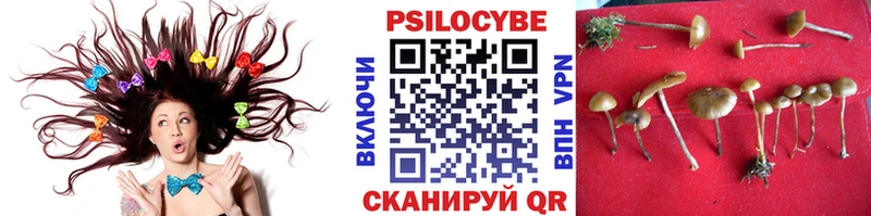Галлюциногенные грибы Magic Shrooms  Купить где  Тихорецк 